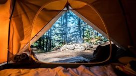 Plan A Camping Trip: 5 Things To Do