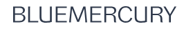 Blue Mercury Coupon Codes
